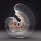 Unfold Series : Digital Sculpture Studies