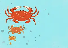 日本保护海洋生物宣传海报设计欣赏