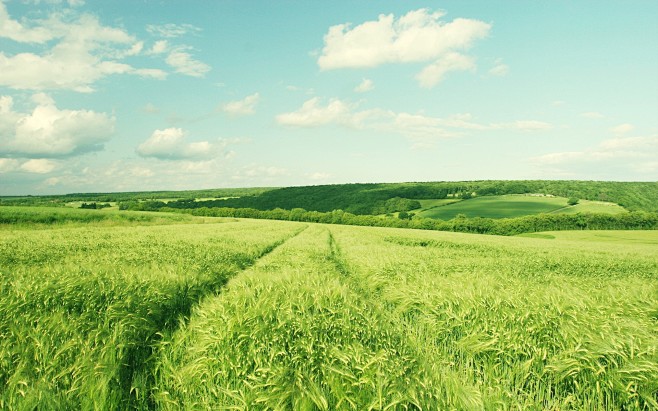 #Field, #nature, #la...