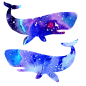 海洋 鲸鱼 PNG 水彩 星空 梦幻 唯美 小清新 手绘 水彩 手帐 插画 蓝鲸 炫彩 背景 免抠图PNG素材，更多素材尽在【点技能】