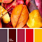 autumn colors 2015, bright yellow, burgundy, color of wine, color solution for fall, magenta, pale purple, repair colors, shades of autumn, wine color.