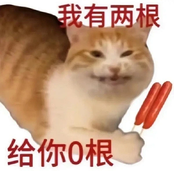 memes 猫 表情包-花瓣网