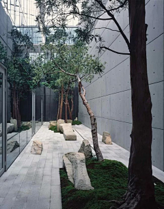 玉米1111采集到石景