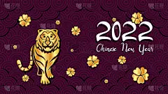中国农历2022年病媒背景。