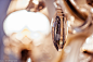 019d1b5542c3ad0000019ae90ddbed.jpg@1280w_1l_2o_100sh