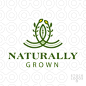 natural green orgainc farmers crop plants 