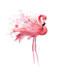 "Flamingo" Watercolor Art Print Signed by Artist DJ Rogers