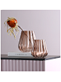 BEST WEST 创意竖楞玻璃花瓶透明水培插花瓶摆件客厅餐桌软装饰品-淘宝网