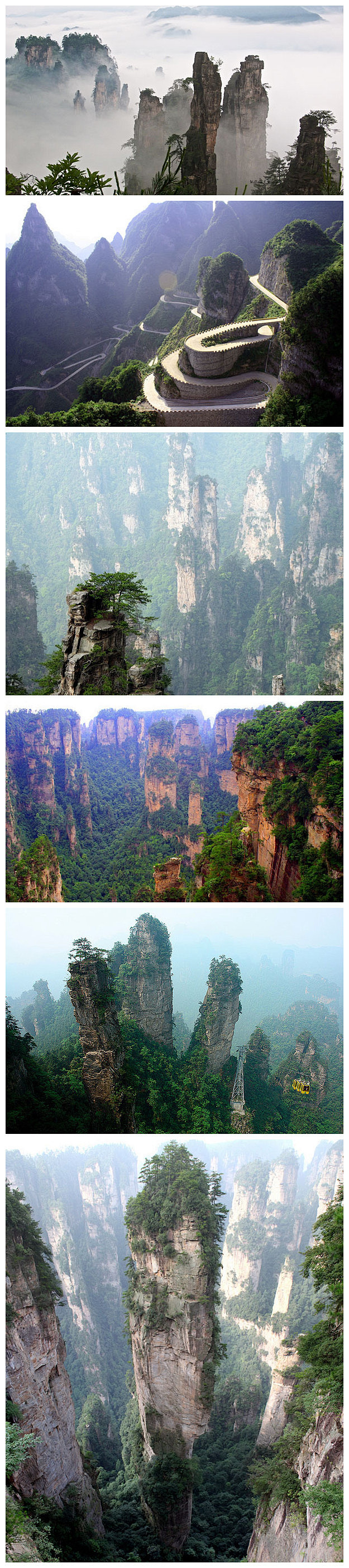 天子山：原名青岩山，因古代土家族领袖向大...