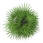 tree (60)
