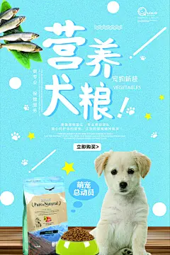 宠物店海报宣传招聘设计单页传单