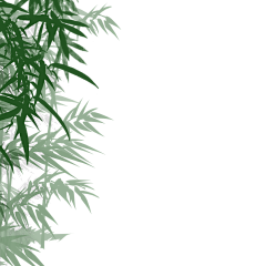Miss_zhan采集到一花一叶
