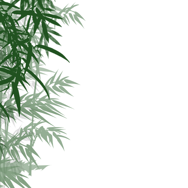 中国风卡通手绘绿色竹子水墨竹叶竹节