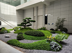 LIUYU8525采集到植物