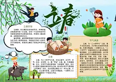 二十四节气立春手抄报