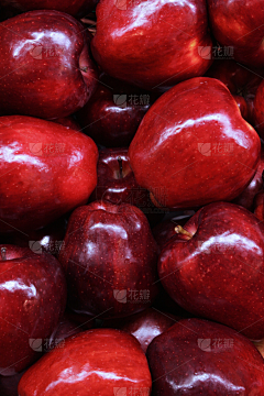 瑧食汇cf采集到葡萄