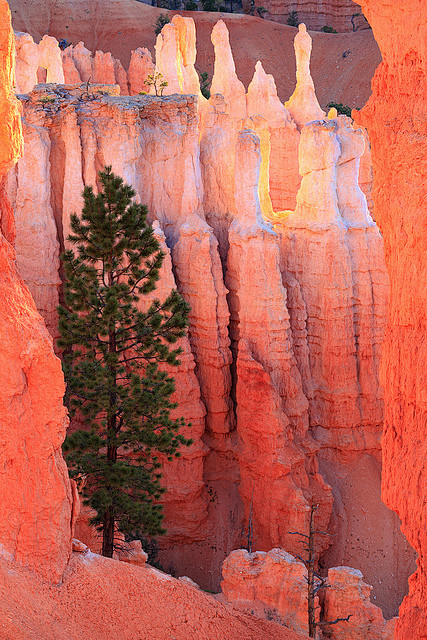 Bryce Canyon Nationa...