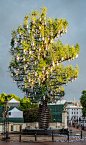 鬼才建筑师打造“百林之树”，庆英国女王铂金禧年