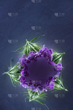 霓虹灯,美,自然,贺卡,艺术,夜晚,栀子,独特视角,光,特写