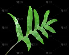 蕨类,分离着色,叶子,低多边形效果 ,黑色背景,复叶,欧洲蕨,植物群,枝繁叶茂,草