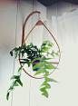 【挂植】cute plant hanger