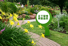 丽丽丽丽zi采集到摆件