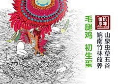 【重拾原味】正宗农家散养毛腿鸡蛋 新鲜营养土鸡蛋草鸡蛋柴鸡蛋-淘宝网