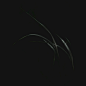 Sordo on Behance