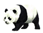 熊猫PNG