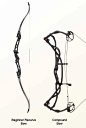 Compound and Recurve Bows from Hoyt compared.