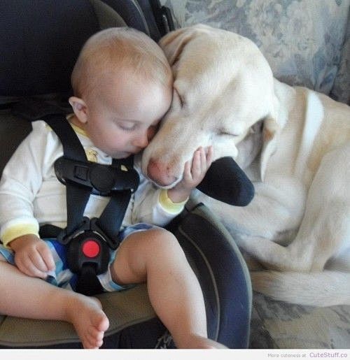 Sleeping Dog & Baby
