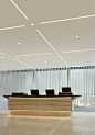 TruLine 1.6 5W 24VDC Plaster-In LED System | Pure Lighting