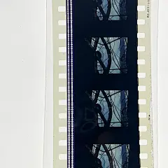 钢琴别恋 (38) - 副本