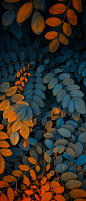 blue and orange leaves