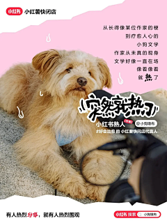 Sham_zuo采集到运营_小红书、大众点评