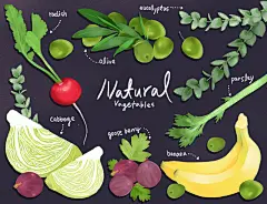 创意手绘美味果蔬插画设计