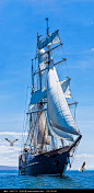 高清大海帆船风景图图片