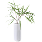北欧植物-盆栽绿色花瓶植物免抠素材透明png竹叶