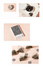 a recipe for wellness-良方 : branding, packaging, herbal lifestyle design, data visualization, exhibition design, photography