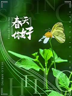 大气立春节气二十四节气宣传海报