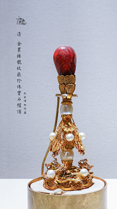 头凉的小白采集到杂识