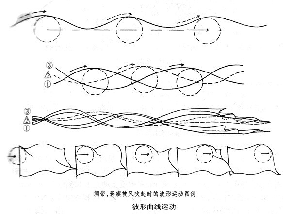 牛尾巴甩动运动规律google搜索