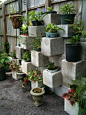 vertical garden