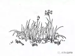 园林景观手绘｜植物线稿50张 : 微信公众号：木子小鱼手绘 这是园林景观手绘第三篇。 整理了植物线稿50张。依次是地被植物，盆栽植物，乔木，灌木，针叶类，棕榈类植物和小景。 1。地被植物，长草的线稿。 2。盆栽植物线稿。 3。乔木的线稿。 4...