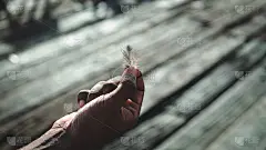 用男性的手拿着一根小羽毛，这是一张创造表情包和复制空间添加文本的好照片。