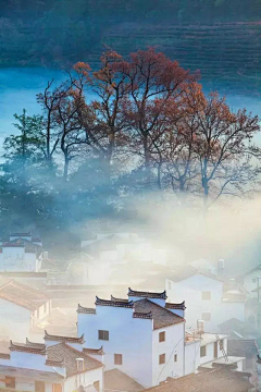 摘月亮的猫采集到风景