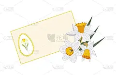 贺卡,复活节,文字,可爱的,传统,华丽的,美术工艺,边框,模板,草