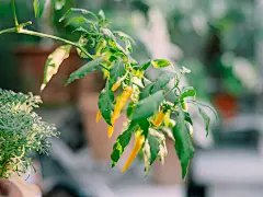 摄影 - 首页 - 微博