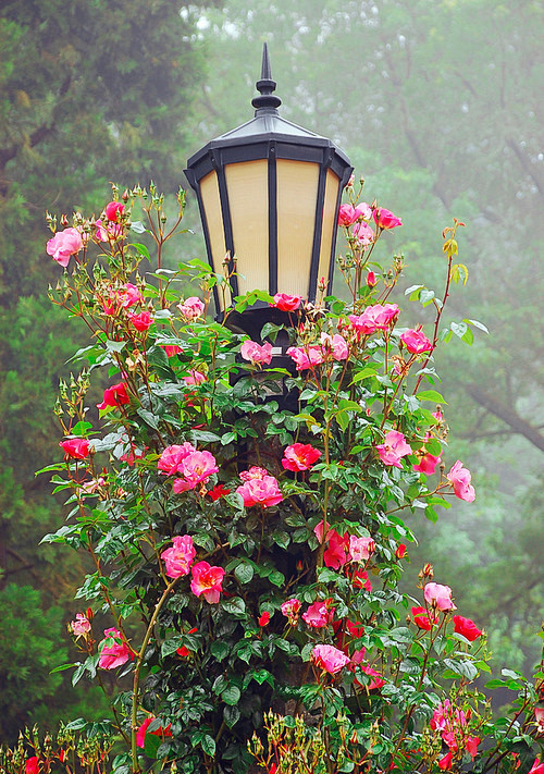Garden lamppost