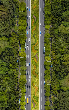 满天星hlh采集到意向图-道路景观